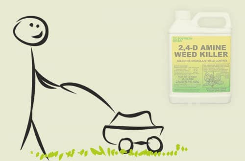How long after spraying 2,4-D can I mow?