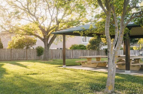 How big is the average backyard?