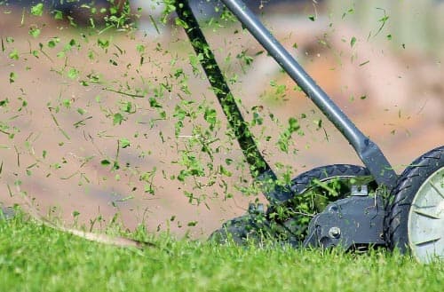 What is the best height to cut grass?