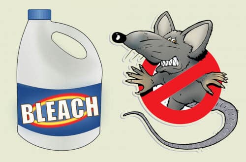 Does bleach keep rats away?