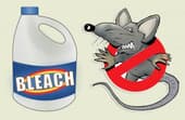Does bleach keep rats away?