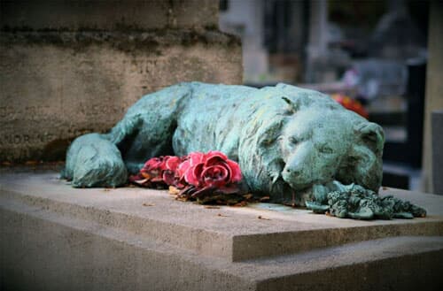 Can you bury a dog in your backyard?
