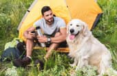 13 Best Tips for tent camping with your dog