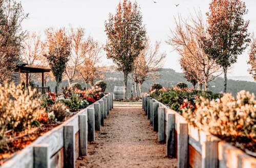When is the best time to plant a garden?