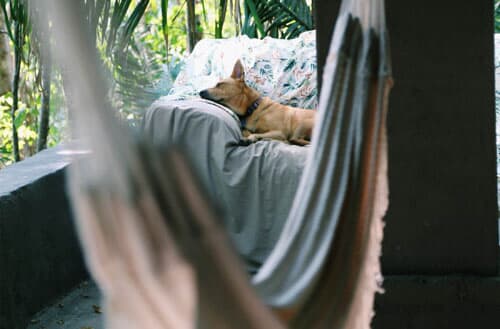How to hang a hammock on a balcony or porch?
