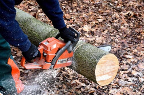What size chainsaw do you need?