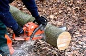 What size chainsaw do you need?
