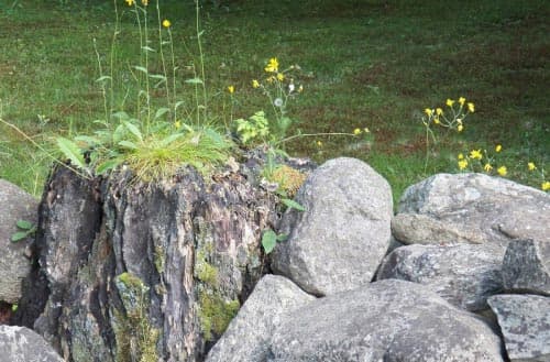 How to dispose of landscaping rocks?