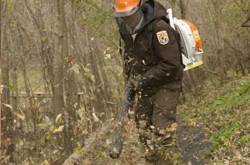Why a leaf blower won't start?