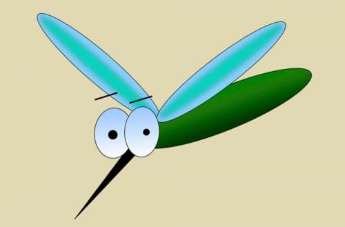 Do mosquito foggers work?