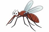 Can mosquitoes see in the dark?