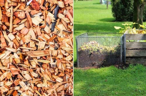 Mulch versus Compost
