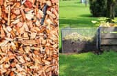 Mulch versus Compost