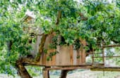 How To Build a Treehouse Without Hurting the Tree