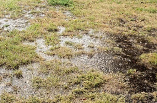 How to stop water runoff from your neighborâ€™s yard?