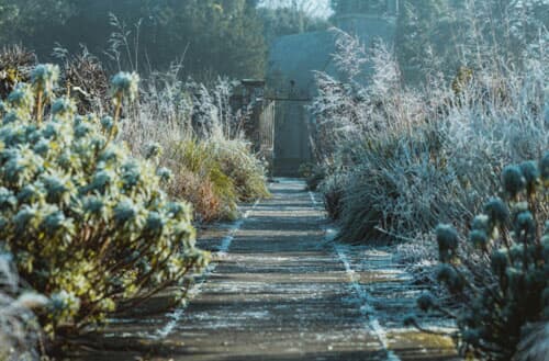 How to prepare a garden for winter?